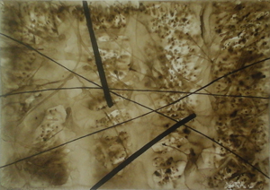 Thumbnail Placeholder